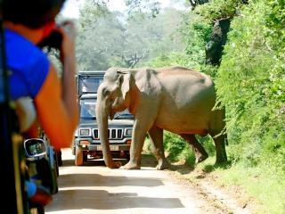 The Yala Camping - 4