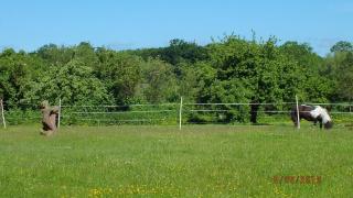 Rotes Haus - Brook - 1