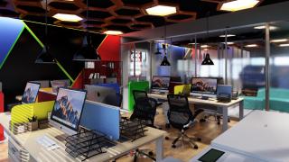 Papagei Cosy Home - 3