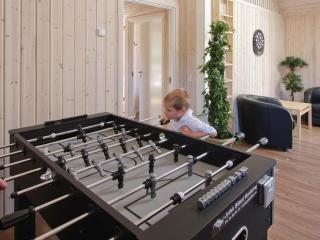 Luxury Pool Villa in Bagenkop - By Traum Ferienwohnungen - 9