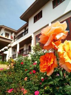 Phumorkdao Resort - 5