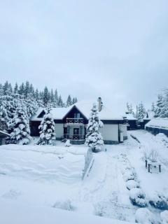 Садиба На Перевалі - 9