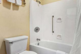 Econo Lodge Inn & Suites Forest - Forest - 8