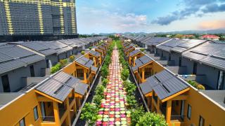 Lynntimes Thanh Thủy Wellness Hotel & Resort - 6