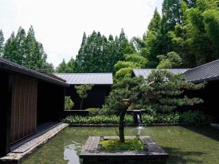 路之青城温泉酒店 - 8