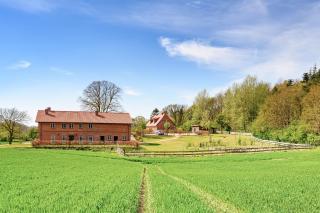 Ferienwohnung Gut Immenhof - 4