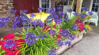 Maison An Ty Göal - 4