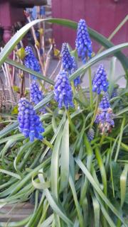 Maison An Ty Göal - 2