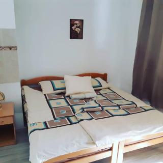 VILANATALIJA PANSION, APATIN - 9