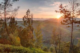 Yellow Tulip Luxury Villa by LexStays - Coonoor - 7