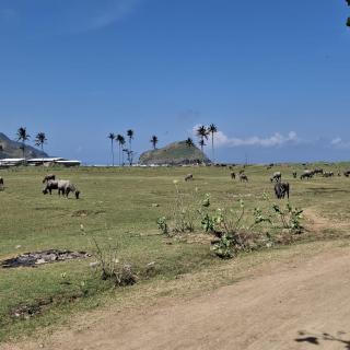 Barrel cottages areguling - 7