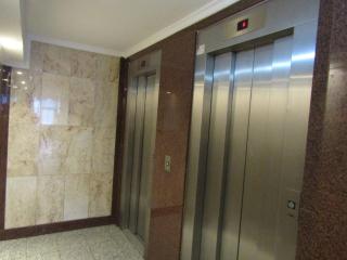 Arena, Parking y wifi - 4