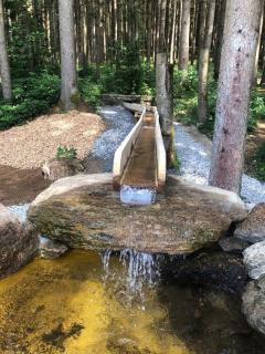 Apartment Tälerblick Maxi, neu modernisiert - 9