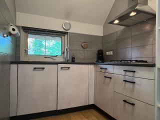 Koolmees - Between the trees! - 6