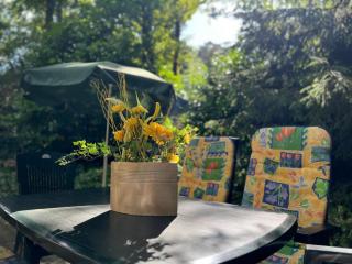 Koolmees - Between the trees! - 5