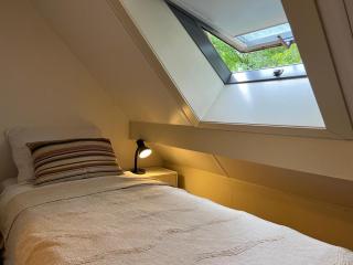 Koolmees - Between the trees! - 1