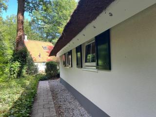 Koolmees - Between the trees! - 1