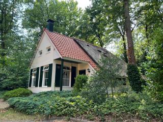 Koolmees - Between the trees! - 0