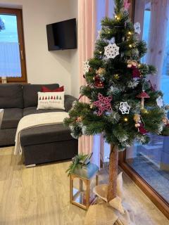 Stylove Domki Bańska Niżna Domki z Jacuzzi - 5