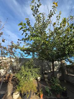 Piscina climatizada jacuzzi sauna y gym privados para 15 con metro - 8