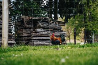 Ferienhaus Getreidesilo - 4