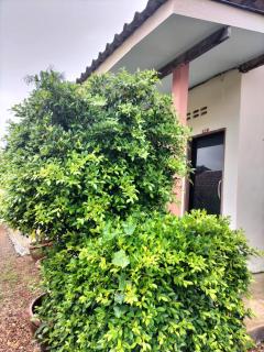 Lanta Rabbit Rooms - 5