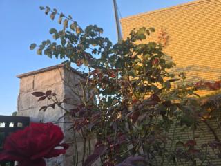 Piscina climatizada jacuzzi sauna y gym privados para 15 con metro - 6