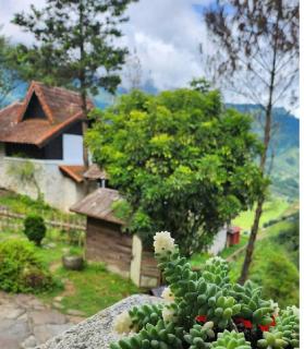 Heaven House Sapa - 5