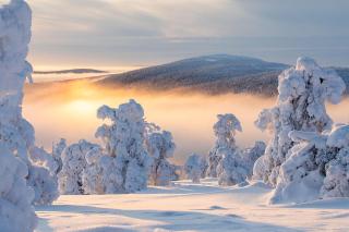 Utsun Gielas A5 Visit Levi - 4