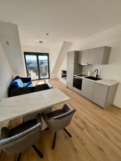 Luxury 2BR Penthouse #1! Big Terrace! Garage! - 1