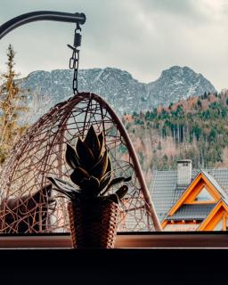 Giewont Mountain View Apartment - 5