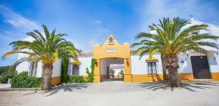 Cubo's El Baldio Country House - Setenil Bodegas - 9