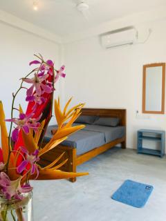 Hidden Well Hiriketiya - 4