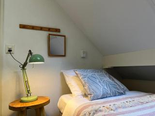 The Molshoop - In the middle of the forest - 4