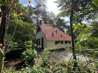 The Molshoop - In the middle of the forest - 0