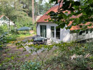 The Molshoop - In the middle of the forest - 9