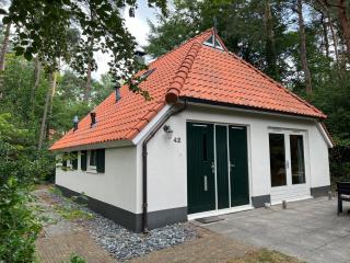 The Molshoop - In the middle of the forest - 2