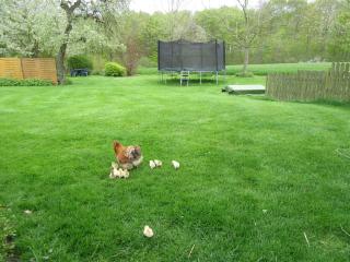 Ferienhaus Angeln - 4