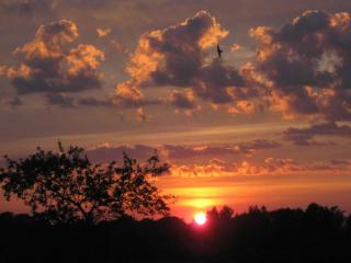 Ferienhaus Angeln - 1