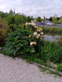 Maison Au Bord de l'eau - 5