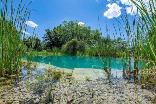 Aqua Bio Retreat by Great Stays - 6