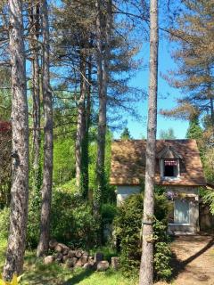 Maison d'hôtes La Danasha - 5