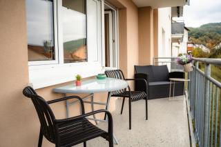 Evelyns Apartment Kurpark Idylle - 7