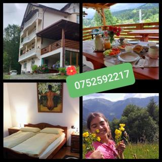 Pensiunea Casa Bradet - 9