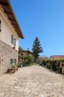 Kalavrita Winter Retreat - Homely Spacious Chalet - 8