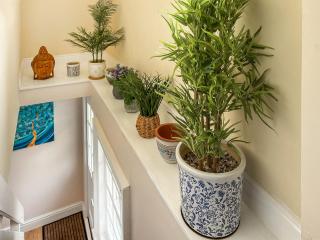 Bluebell Cottage - 1