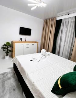 Ultracentral Piata Victoriei 50- City Center View - 9