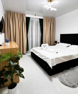 Ultracentral Piata Victoriei 50- City Center View - 3