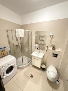 17 Zimbrului Residence at Lazar Towers Palas - 5