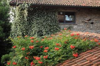 Cascina ristrutturata tra due laghi - 9